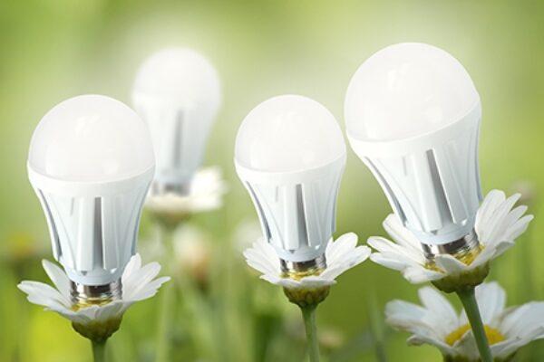LED Bulbs - Providing Greener Lighting Systems