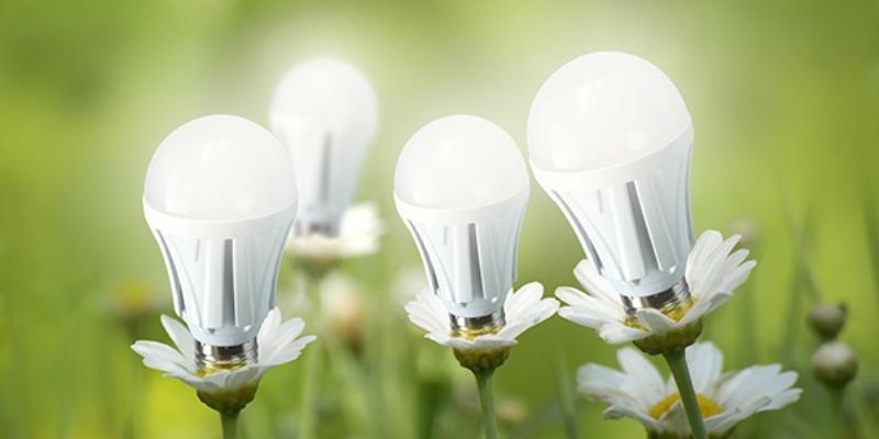 LED Bulbs - Providing Greener Lighting Systems