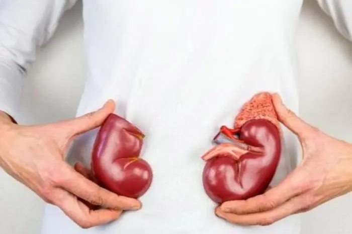Steps to Maintain Kidney Health