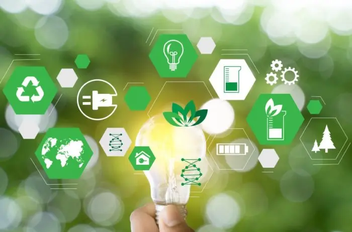 Top 10 Eco-Friendly Startup Concepts for Green Entrepreneurs